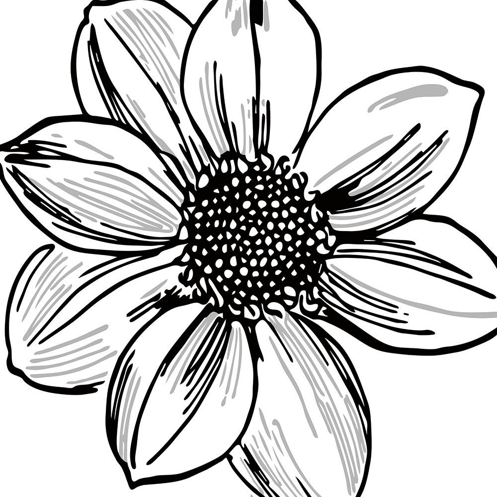 Floral Outlines I art print by Sabine Berg for $57.95 CAD