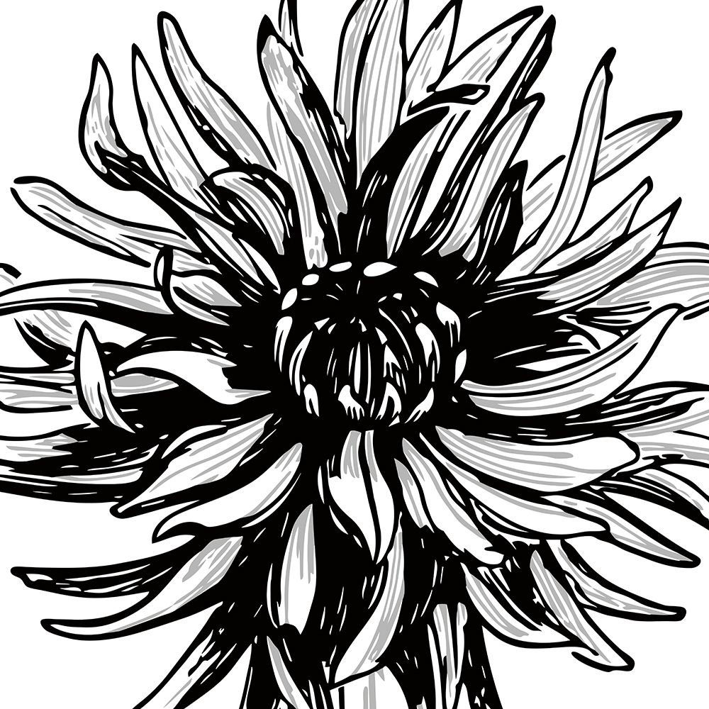 Floral Outlines II art print by Sabine Berg for $57.95 CAD