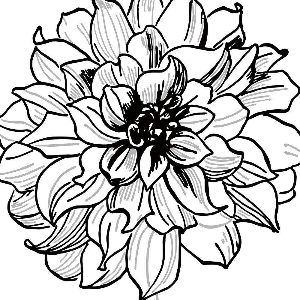 Floral Outlines III art print by Sabine Berg for $57.95 CAD