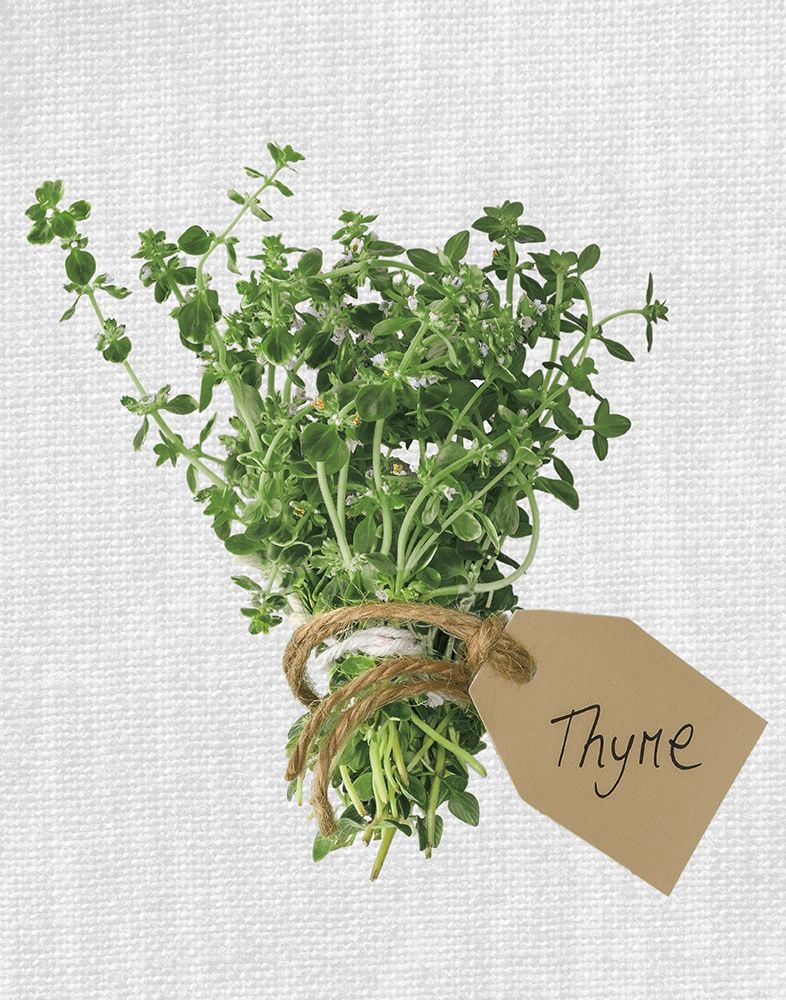 Thyme art print by Assaf Frank for $57.95 CAD
