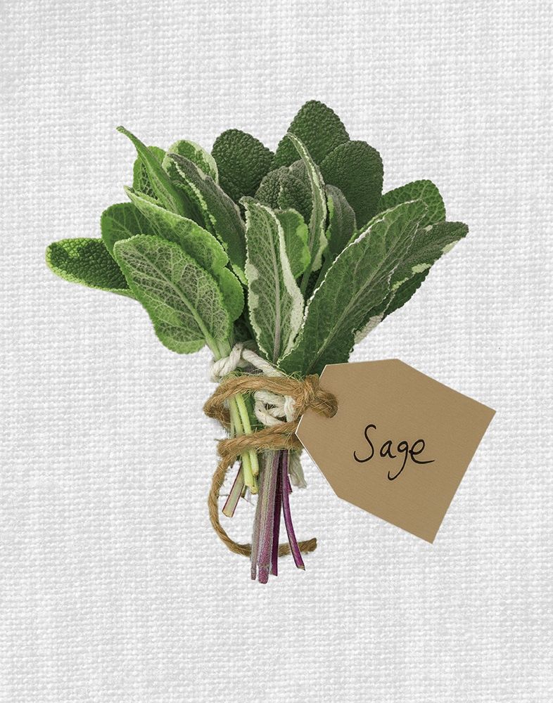 Sage art print by Assaf Frank for $57.95 CAD