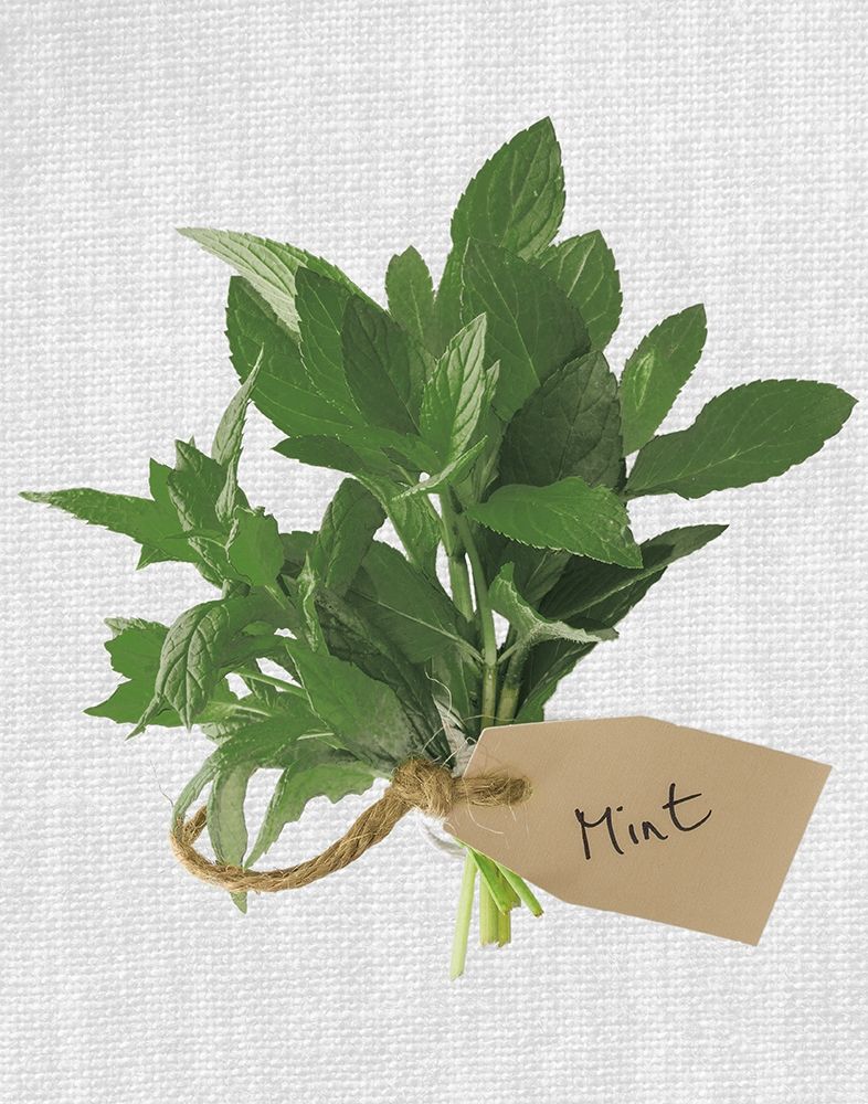 Mint art print by Assaf Frank for $57.95 CAD