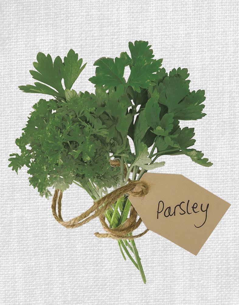 Parsley art print by Assaf Frank for $57.95 CAD