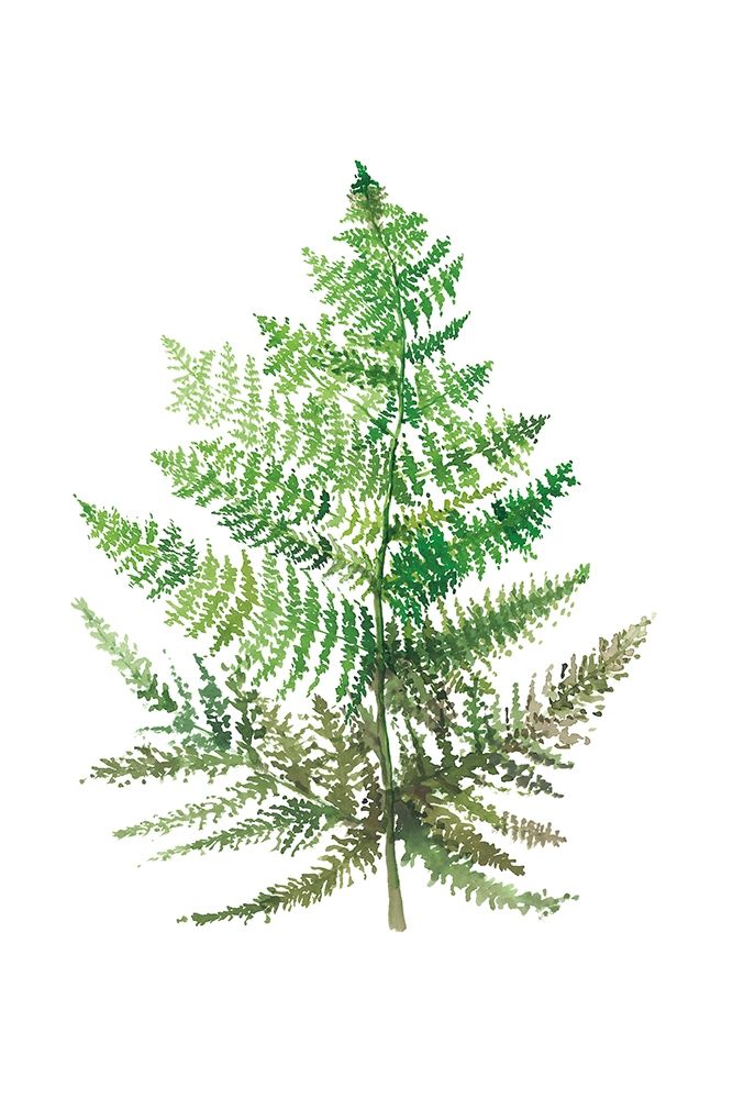 Wild Greens I art print by Rebecca Meyers for $57.95 CAD