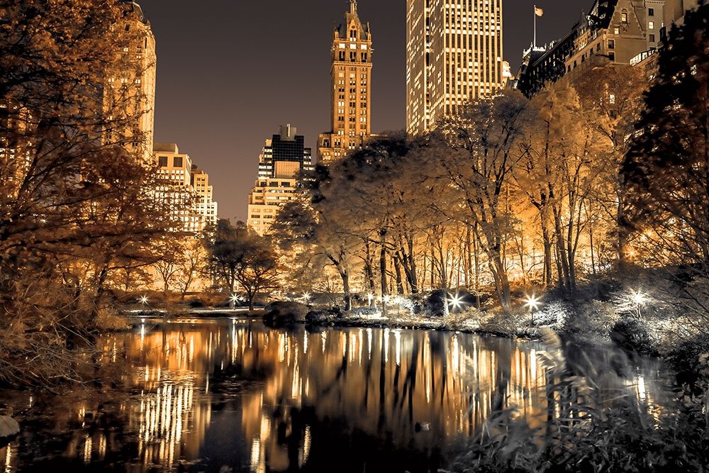 Central Park Glow art print by Assaf Frank for $57.95 CAD