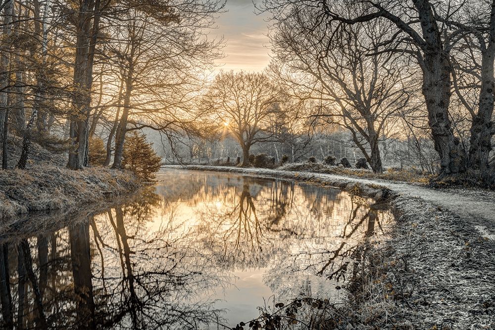 Frosty Morning art print by Assaf Frank for $57.95 CAD