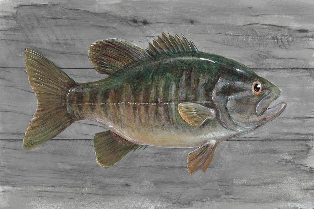 Clear Water Beauty art print by Arnie Fisk for $57.95 CAD