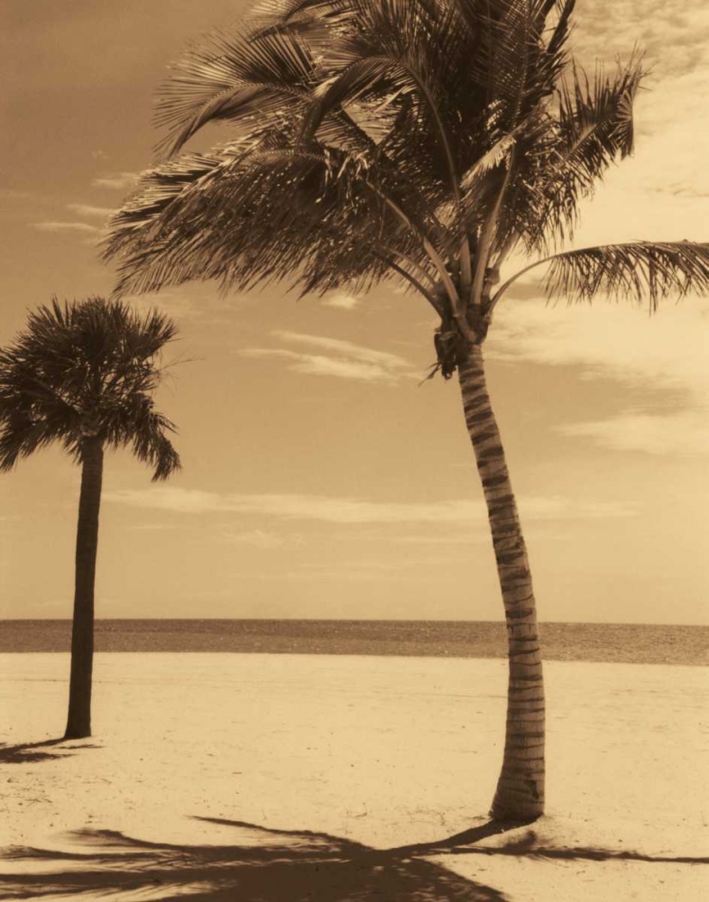 Palm Beach I art print by Dennis Kelly for $57.95 CAD