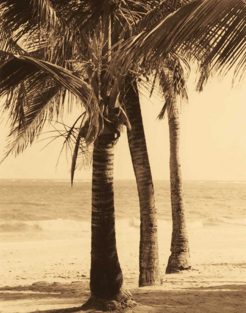 Palm Beach II art print by Dennis Kelly for $57.95 CAD