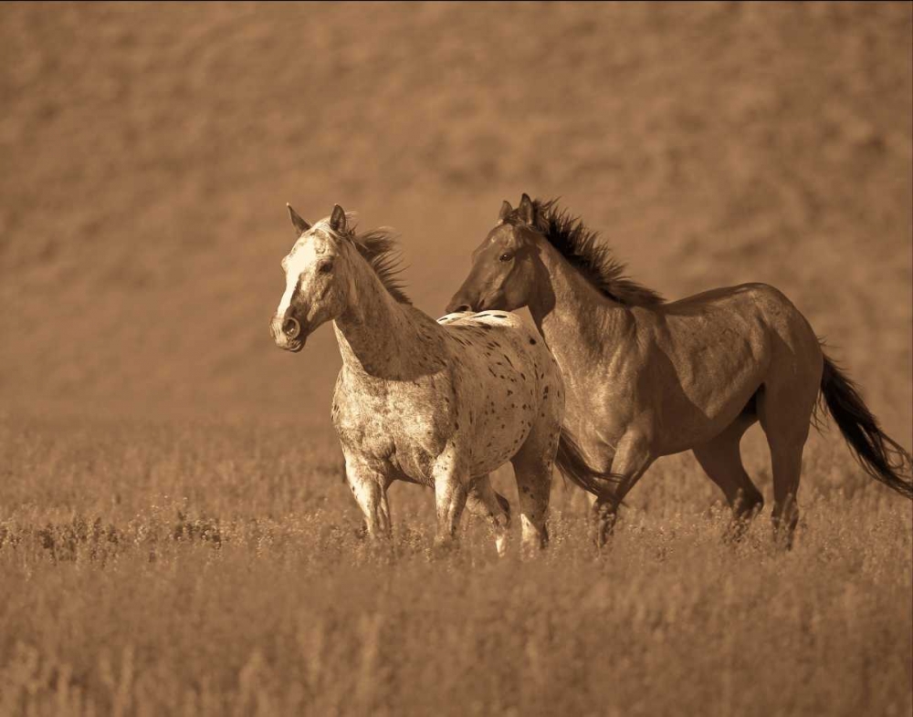 Partners art print by Wendy Caro for $57.95 CAD