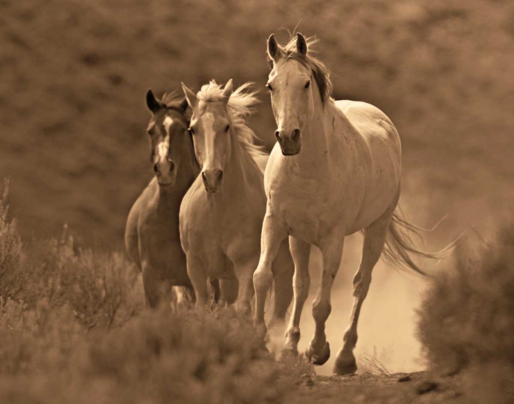 Rangers art print by Wendy Caro for $57.95 CAD