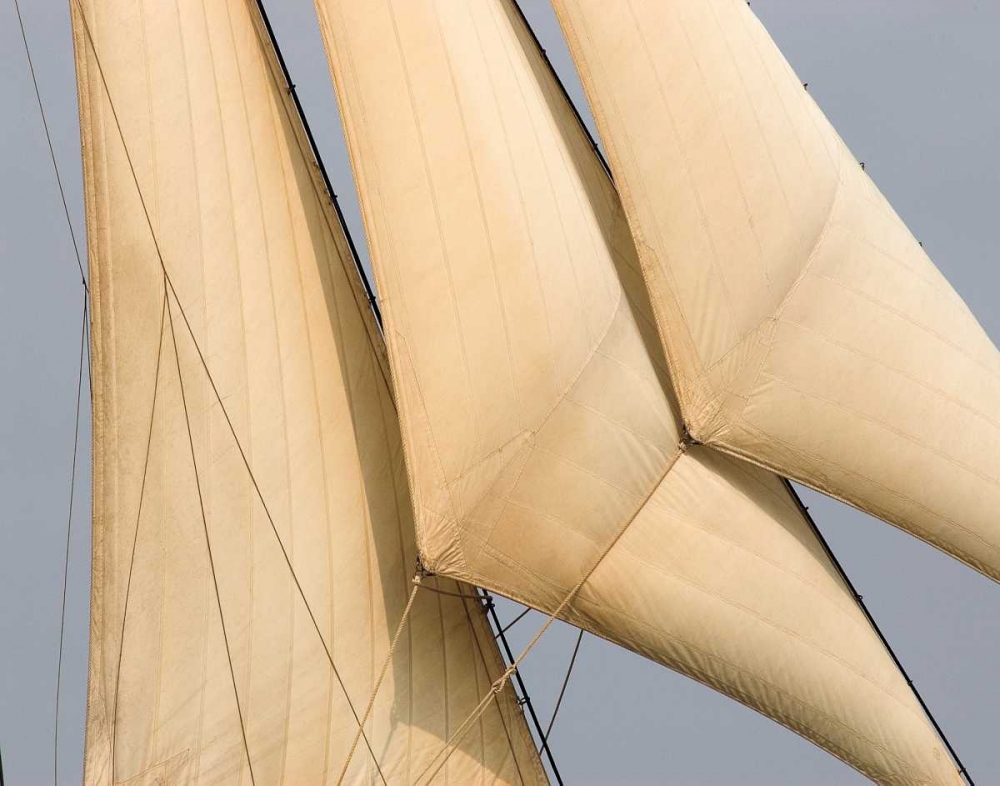 Windward I art print by Frederick J. LeBlanc for $57.95 CAD