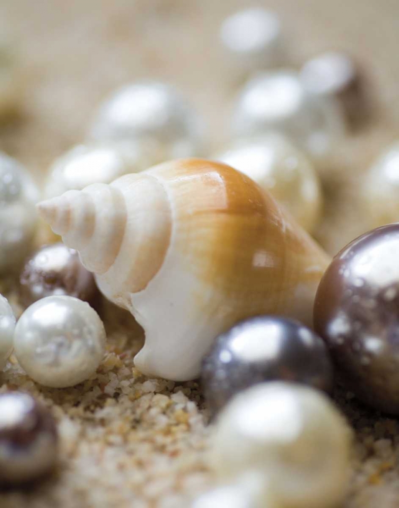 Sea Jewels I art print by Jeff/Boyce Maihara/Watt for $57.95 CAD