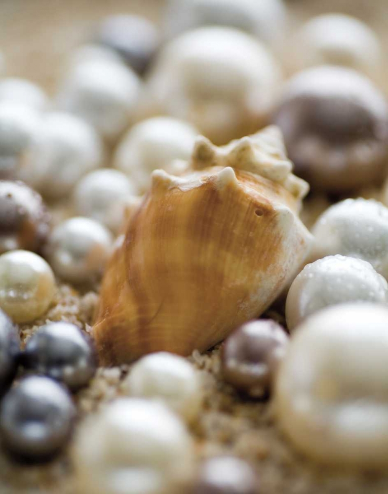 Sea Jewels III art print by Jeff/Boyce Maihara/Watt for $57.95 CAD