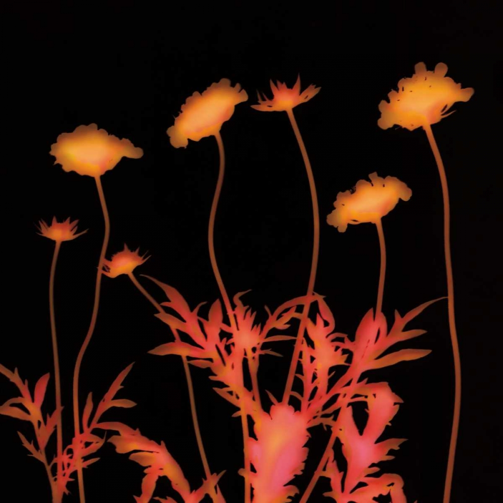 Delight art print by Ethan Jantzer for $57.95 CAD