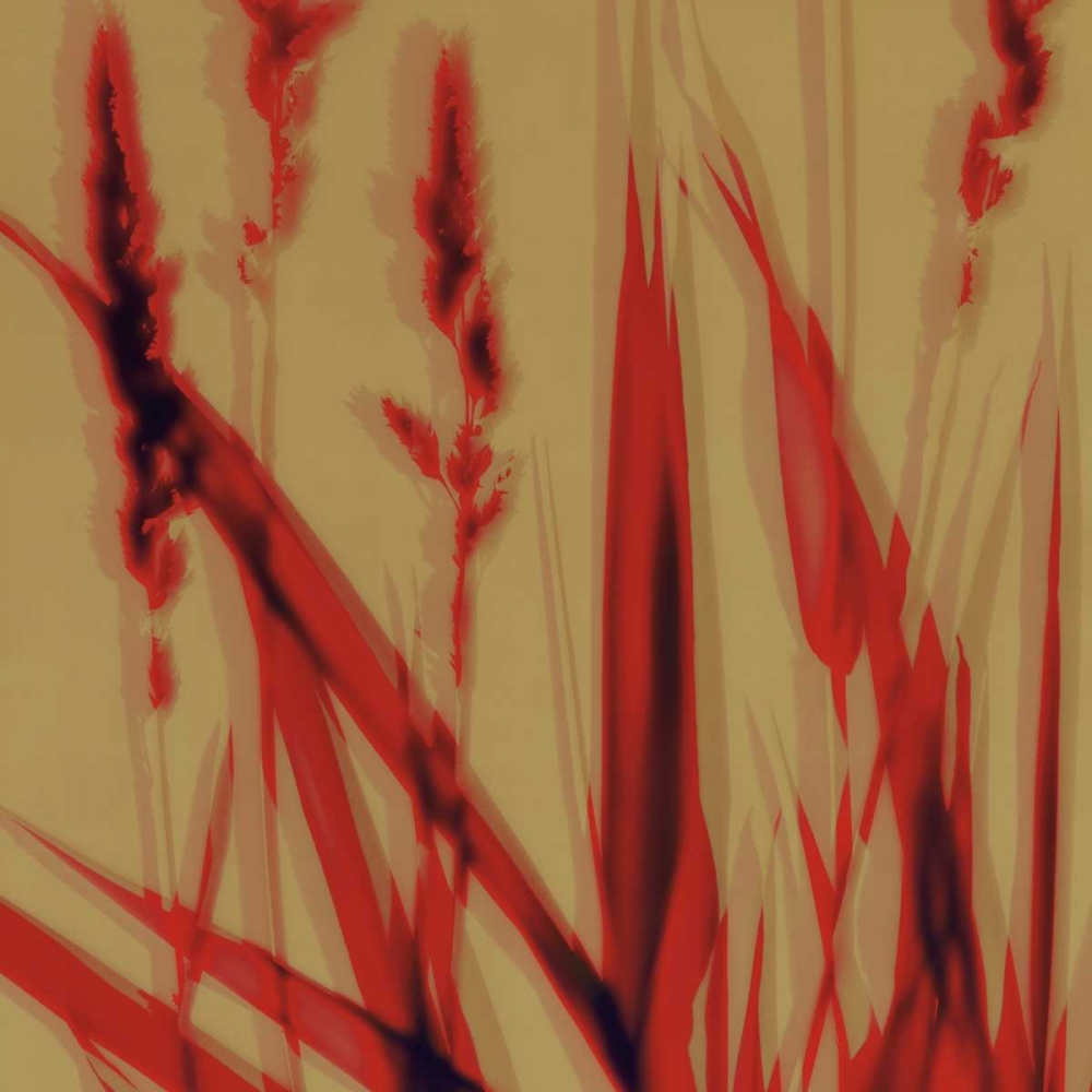 Meadow art print by Ethan Jantzer for $57.95 CAD