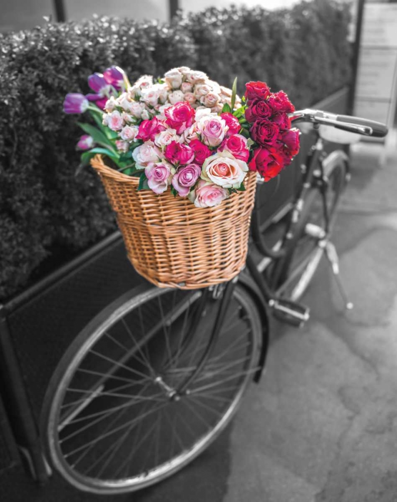 Basket of Flowers I art print by Assaf Frank for $57.95 CAD