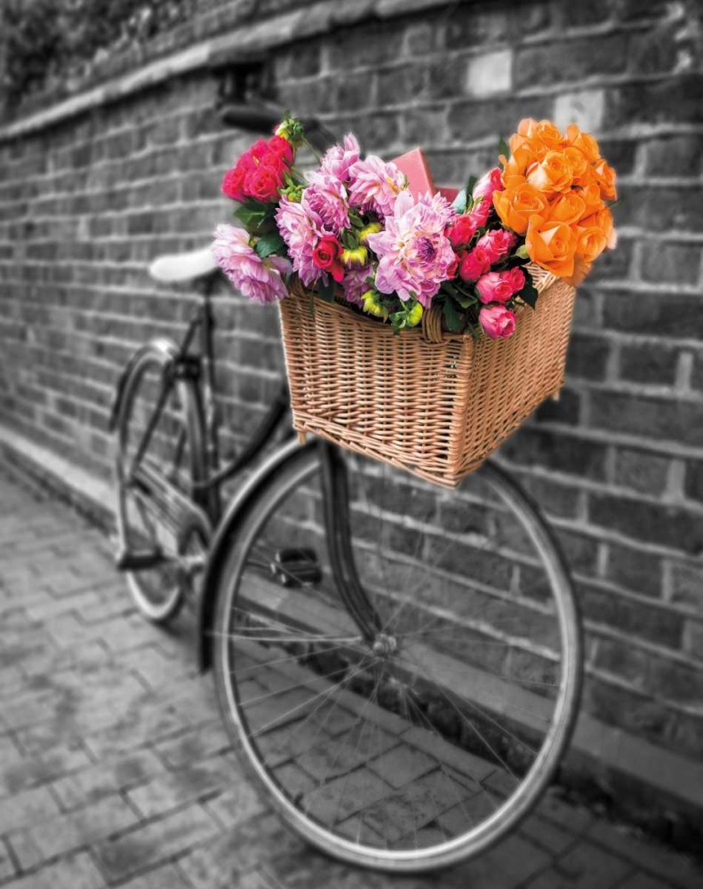 Basket of Flowers II art print by Assaf Frank for $57.95 CAD