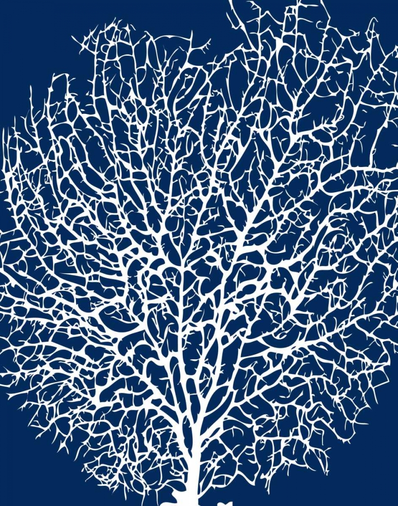 Navy Coral II art print by Sabine Berg for $57.95 CAD