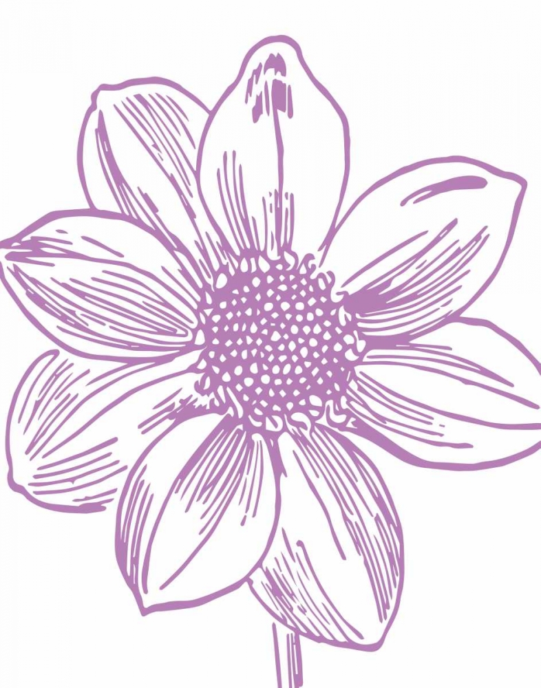 Florette I art print by Sabine Berg for $57.95 CAD