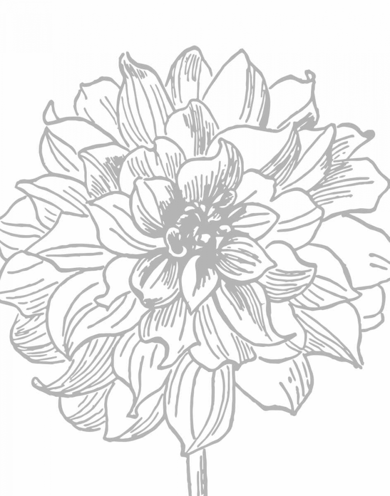 Florette III art print by Sabine Berg for $57.95 CAD