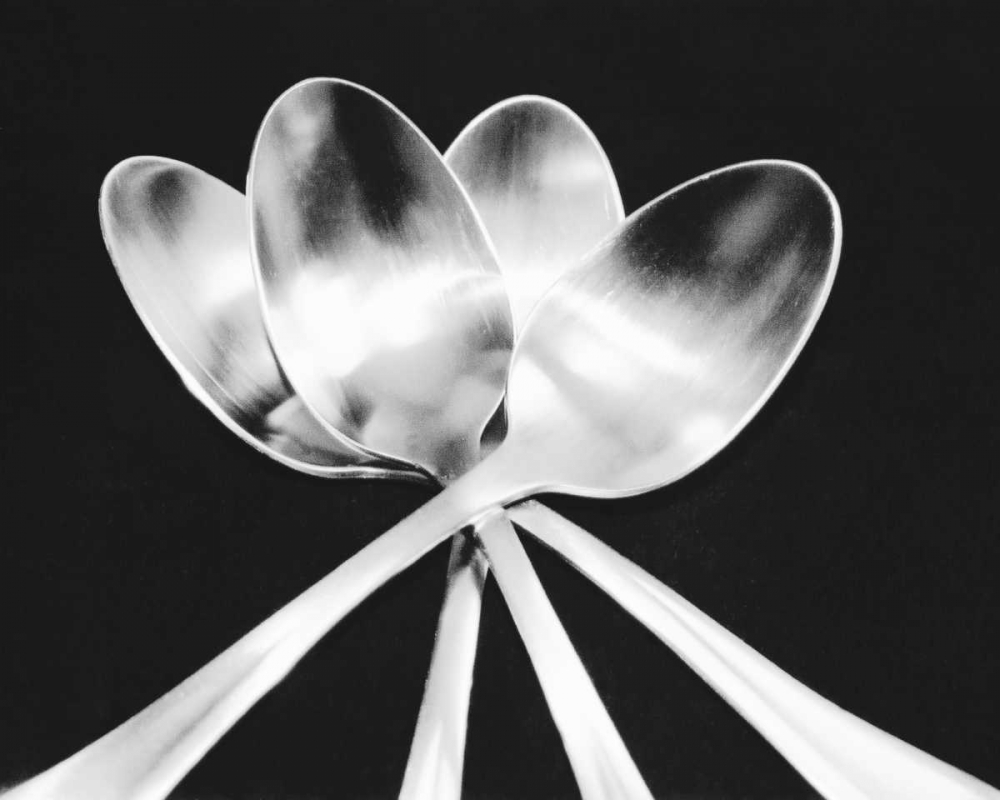 Spoons art print by Mike Feeley for $57.95 CAD