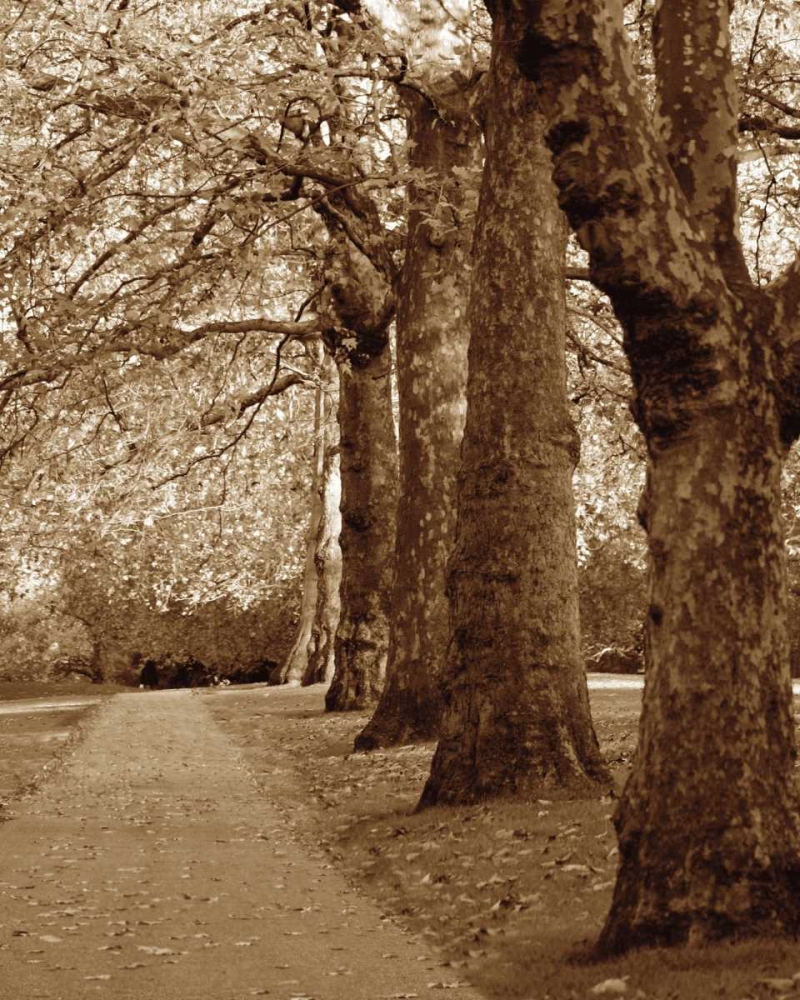 Autumn Stroll I art print by Jeff/Boyce Maihara/Watt for $57.95 CAD