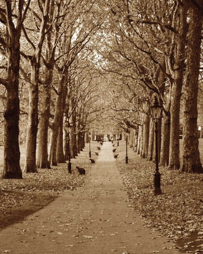 Autumn Stroll II art print by Jeff/Boyce Maihara/Watt for $57.95 CAD
