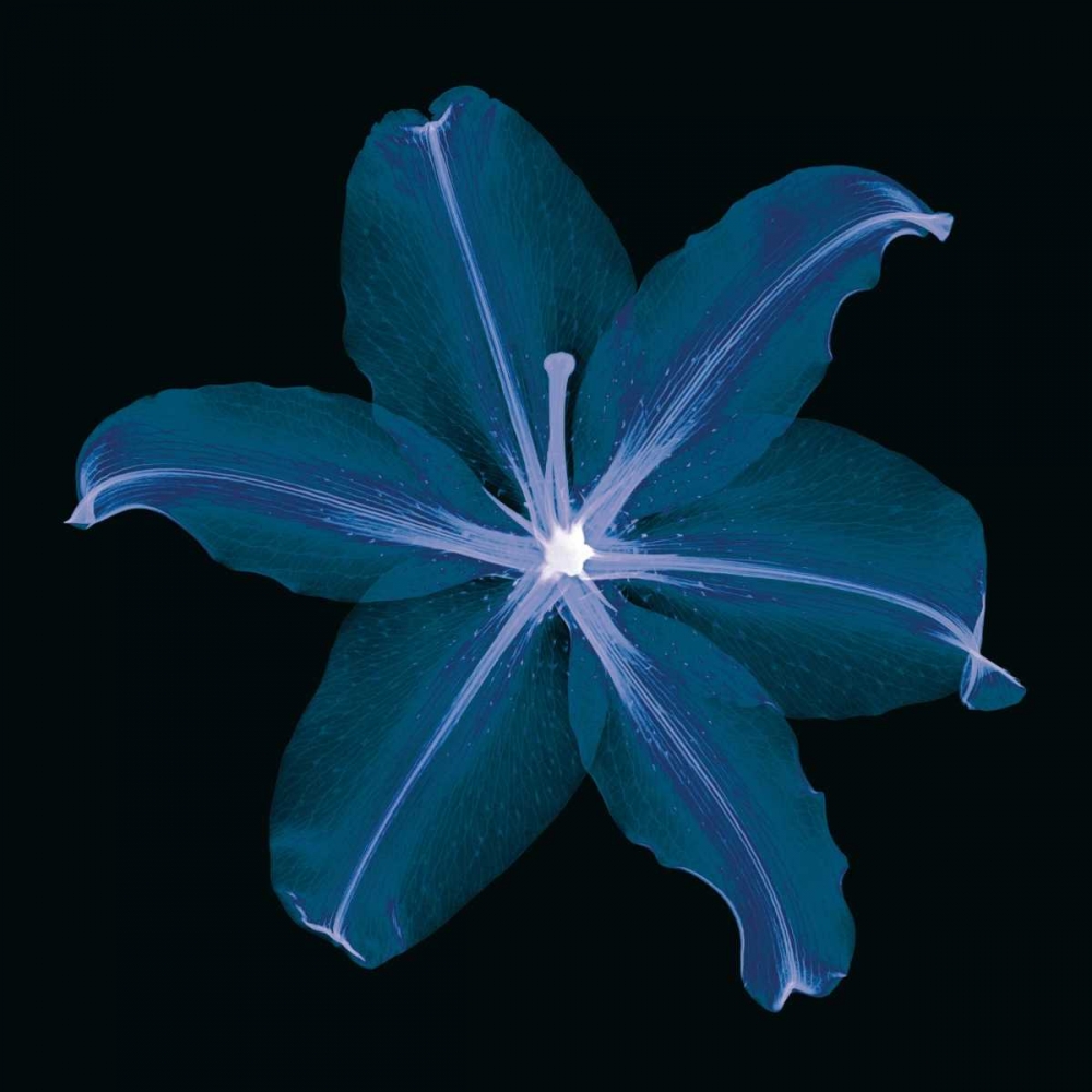 Lily art print by Jim Wehtje for $57.95 CAD