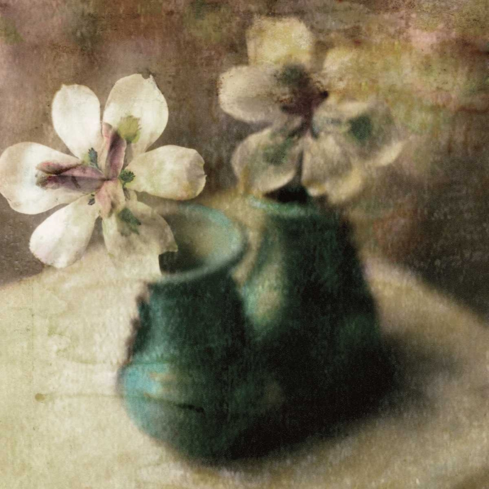 Natures Blossoms IV art print by Susan Friedman for $57.95 CAD