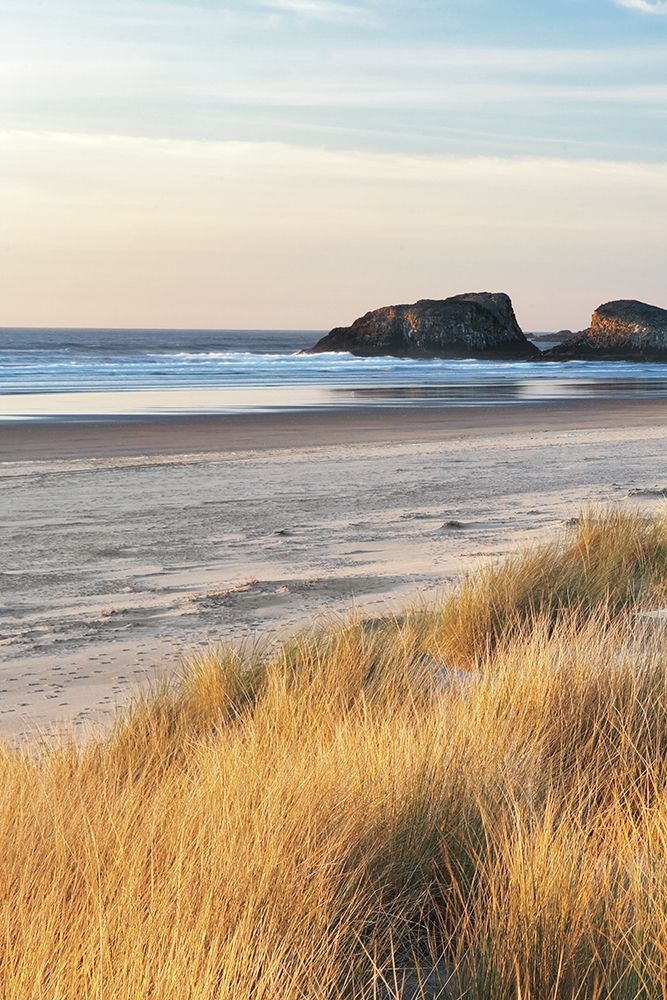 Dune Grass and Beach I art print by Dennis Frates for $57.95 CAD