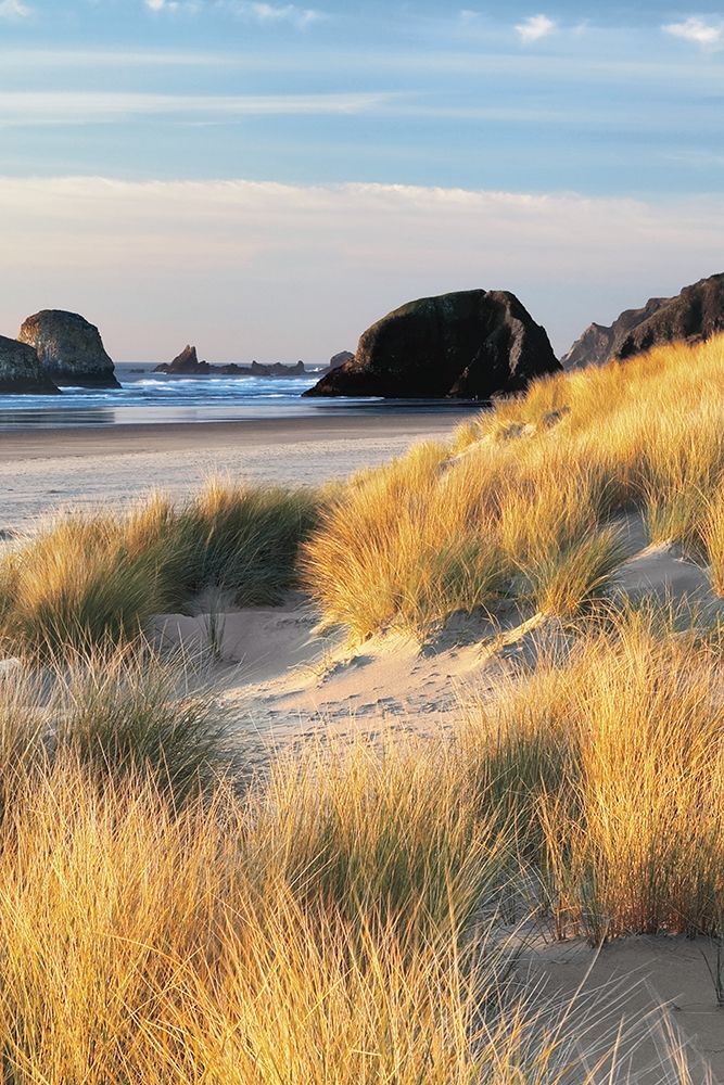 Dune Grass and Beach II art print by Dennis Frates for $57.95 CAD