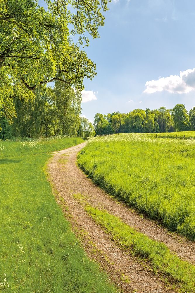 Greenest Pastures II art print by Assaf Frank for $57.95 CAD