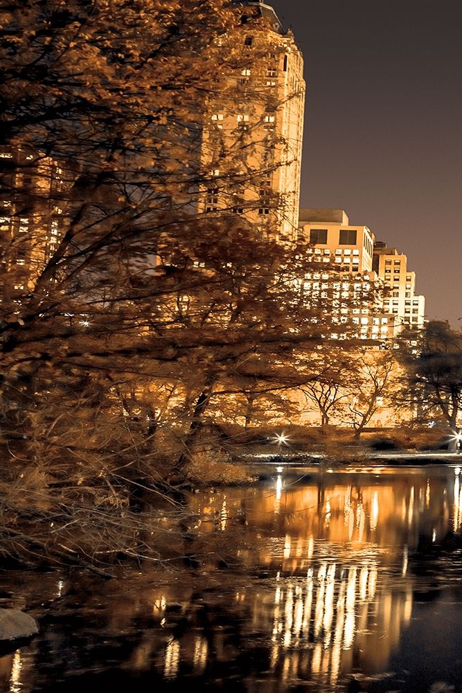 Central Park Glow I art print by Assaf Frank for $57.95 CAD