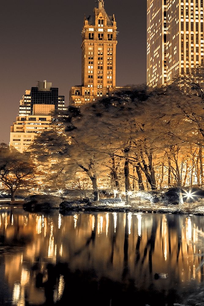 Central Park Glow II art print by Assaf Frank for $57.95 CAD