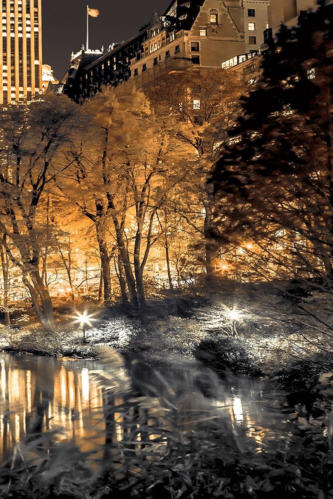 Central Park Glow III art print by Assaf Frank for $57.95 CAD