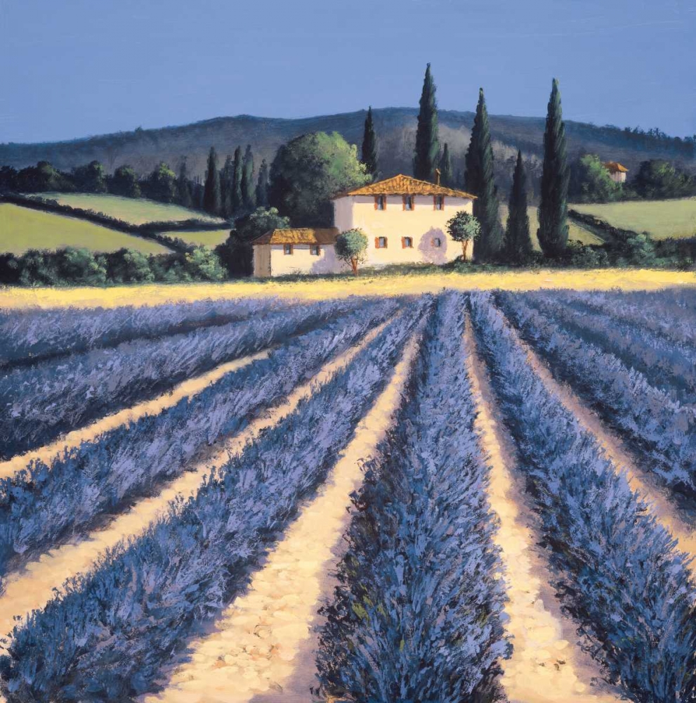 Colors of Summer art print by David Short for $57.95 CAD