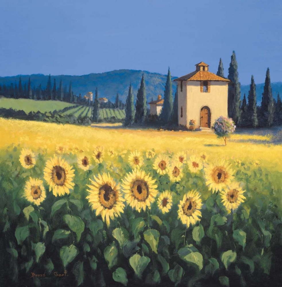 Golden Warmth art print by David Short for $57.95 CAD