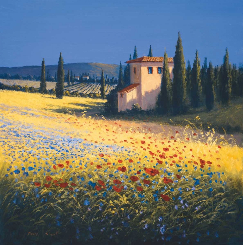 Summer Villa art print by David Short for $57.95 CAD