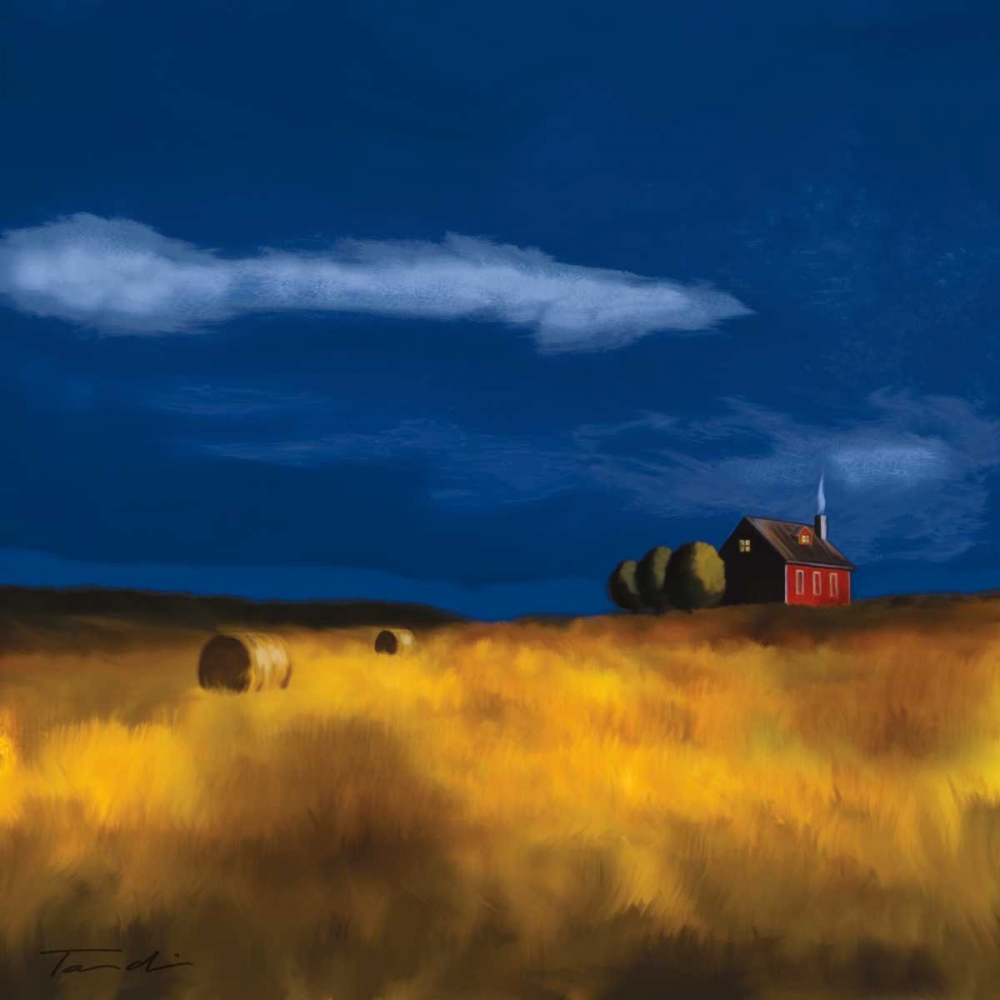 My House art print by Tandi Venter for $57.95 CAD