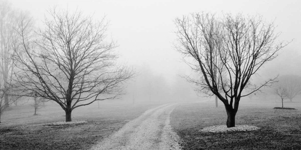 Road to Somewhere art print by Michael Iacobellis for $57.95 CAD