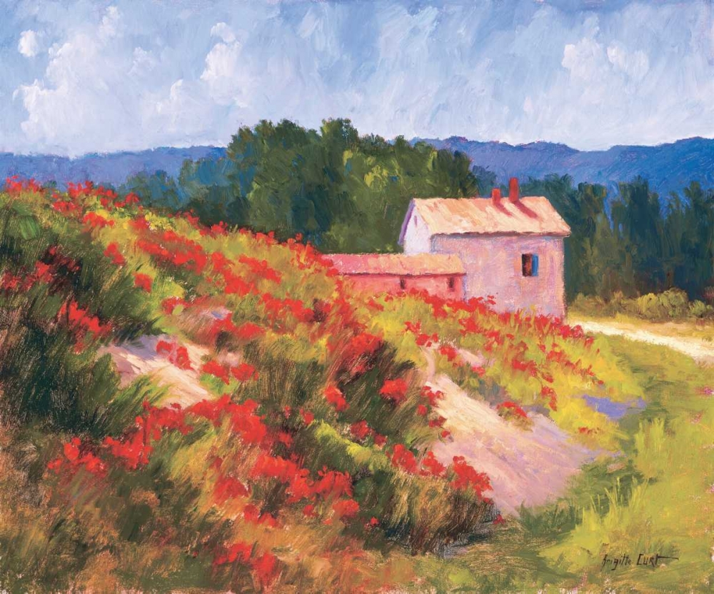 Late Spring Poppies art print by Brigitte Curt for $57.95 CAD