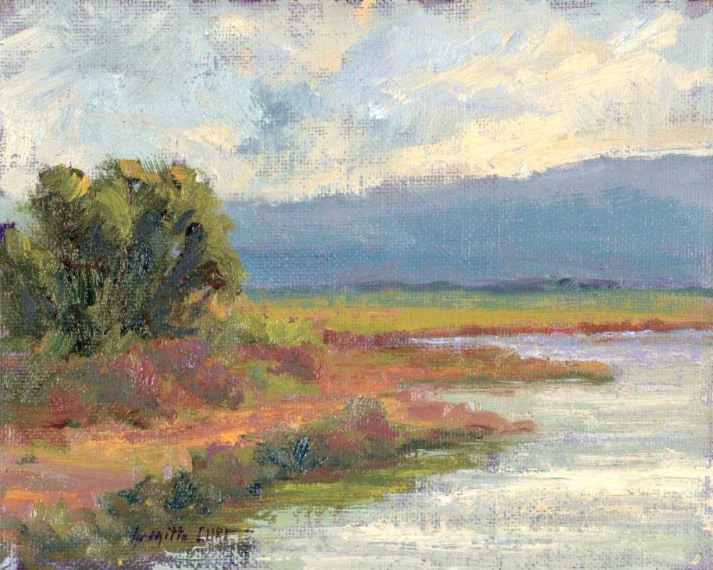 Jewels of the Wetlands Series One art print by Brigitte Curt for $57.95 CAD