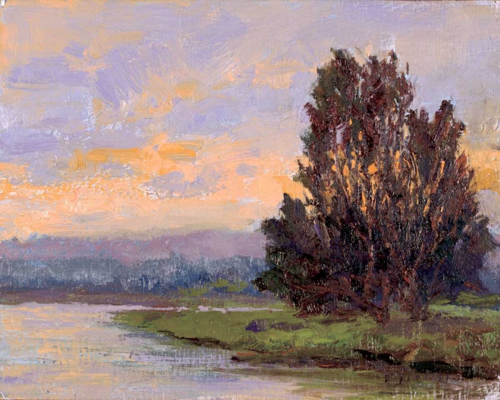 Jewels of the Wetlands Series One art print by Brigitte Curt for $57.95 CAD