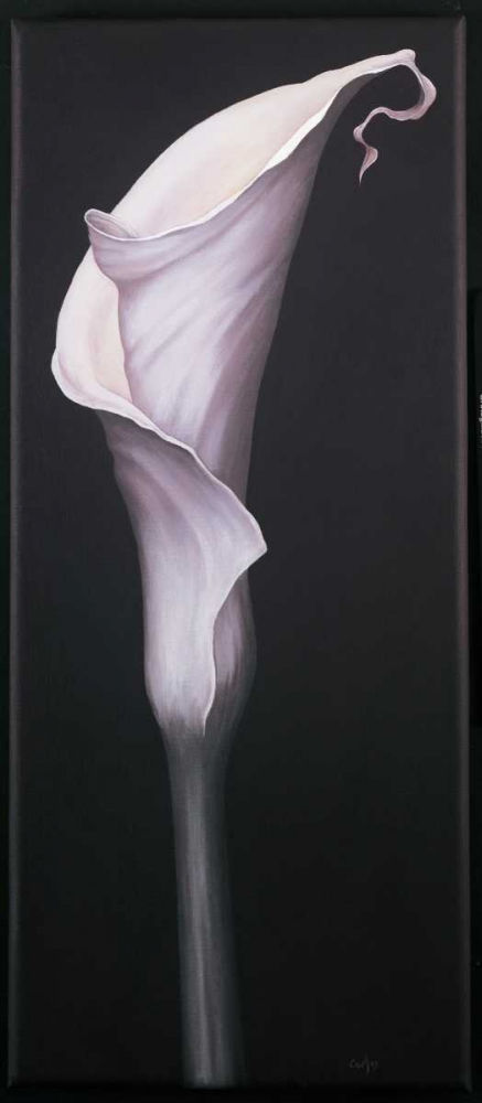 My Small Lily II art print by Isabel Cruellas for $57.95 CAD