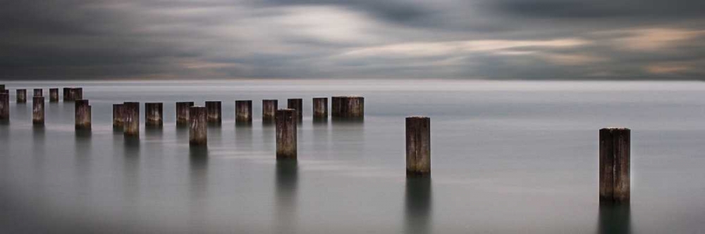 In Dreams II art print by Jamie Cook for $57.95 CAD