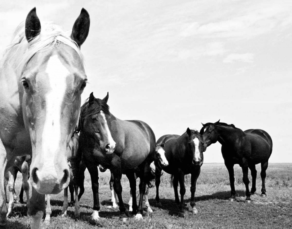 Wild Whispers I art print by Peggy Corpeny for $57.95 CAD