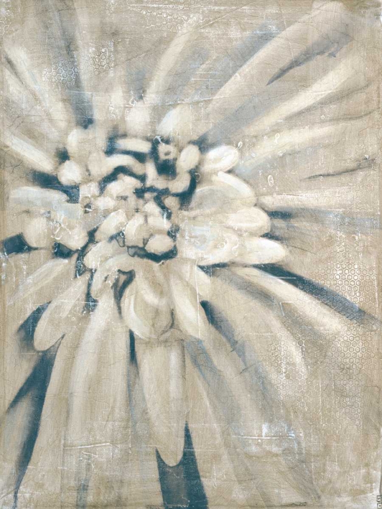 Glam I art print by Stacy D'Aguiar for $57.95 CAD