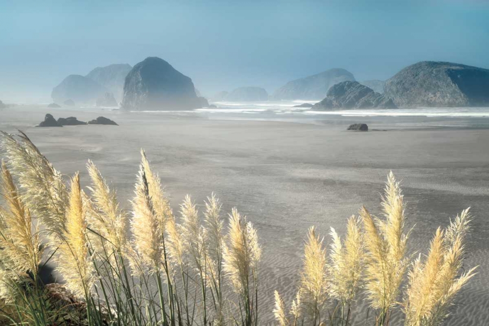 Pampas Beach art print by Dennis Frates for $57.95 CAD