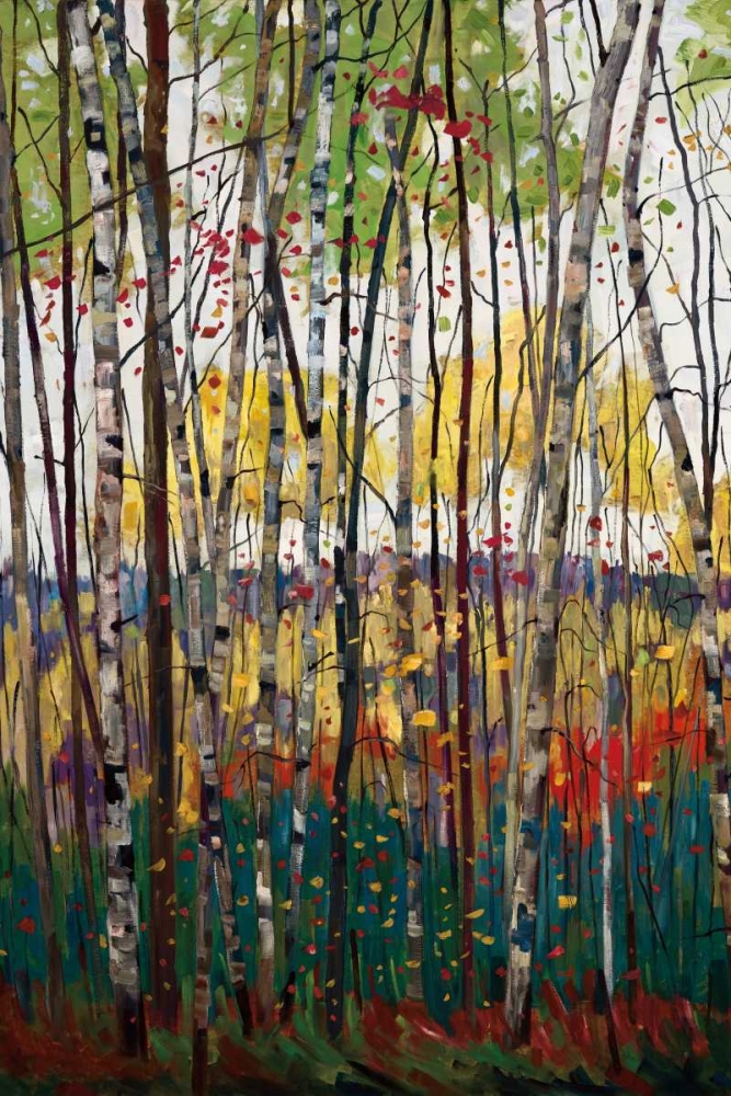 Voile De Montogne art print by Graham Forsythe for $57.95 CAD